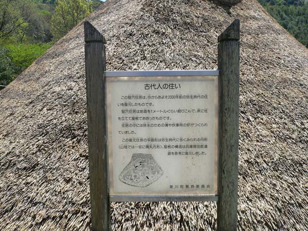 P1020226